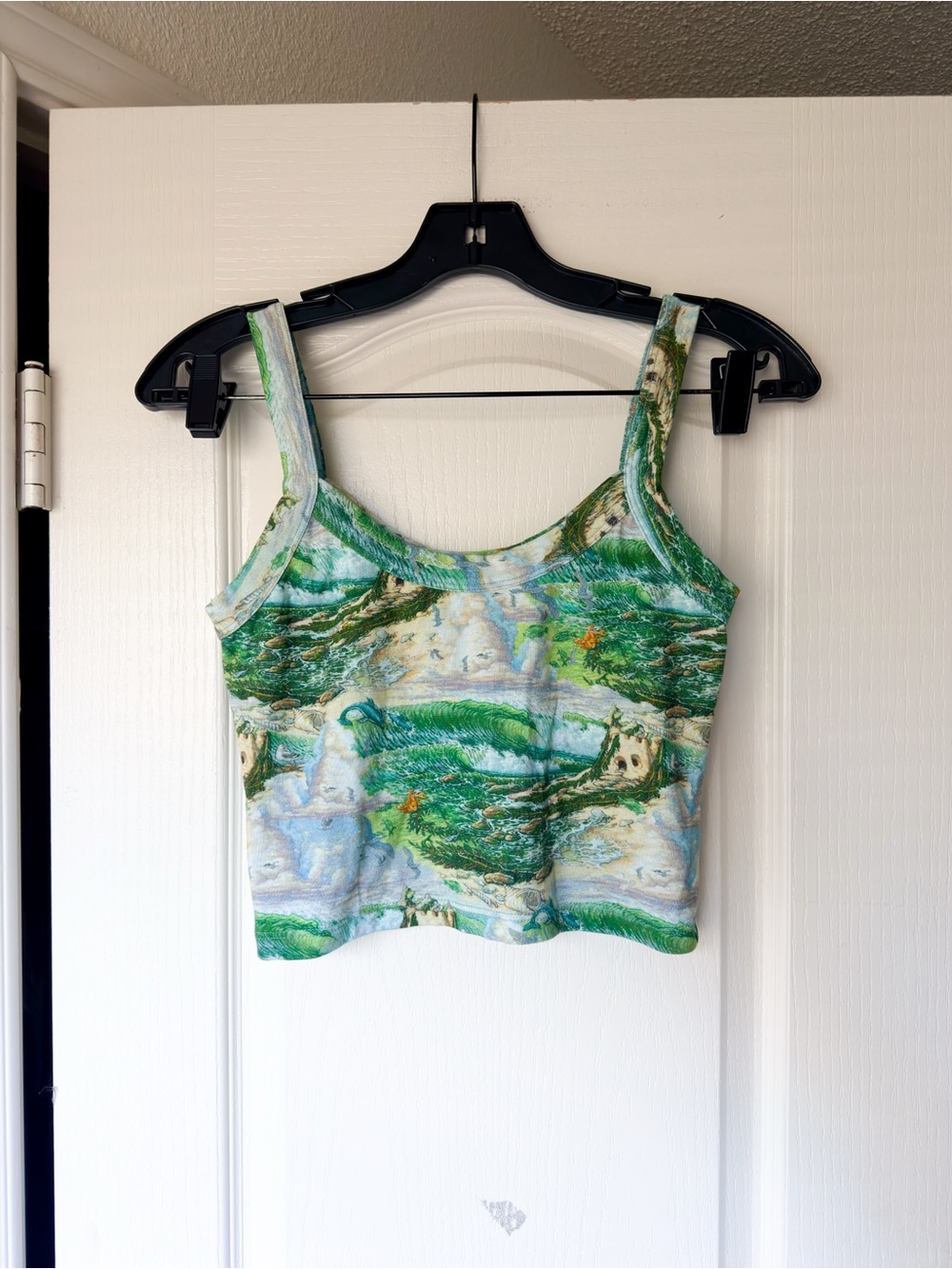 Big Bud Press Bill Ogden Many Colors Crop Tank Multi XS EUC
